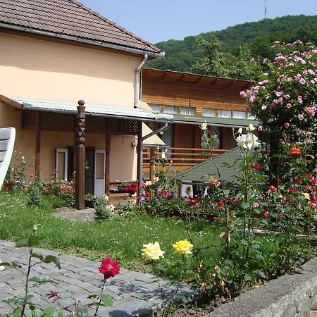 Casa Katona Apartment Sovata Exterior photo
