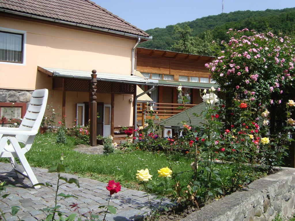 Casa Katona Apartment Sovata Exterior photo